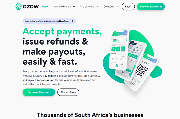 Ozow-Homepage & Landing page